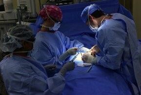 trajtimi kirurgjik i venave me variçe në këmbë