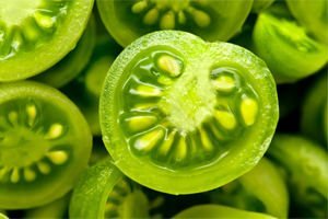 trajtimin e venat me variçe jeshile e domate